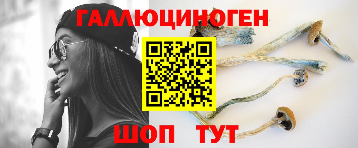 Петрозаводск  Псилоцибиновые грибы Psilocybe  Вход с VPN 